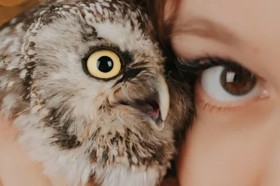 VegasWild Casino Supporto